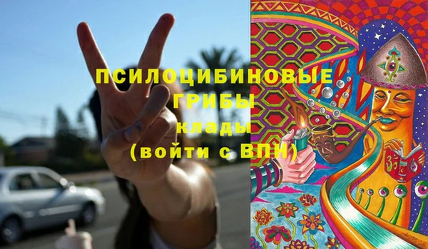 гидра Покачи