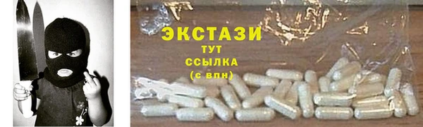 гидра Покачи