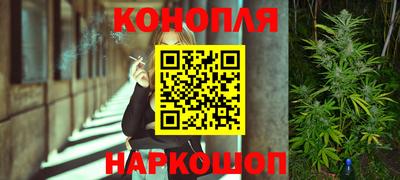 стаф Аргун