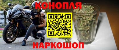 стаф Аргун