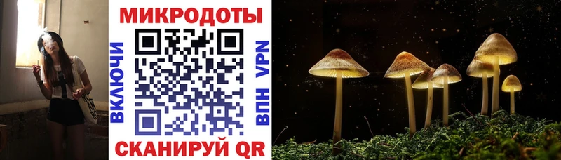 Галлюциногенные грибы Psilocybe  Белогорск 