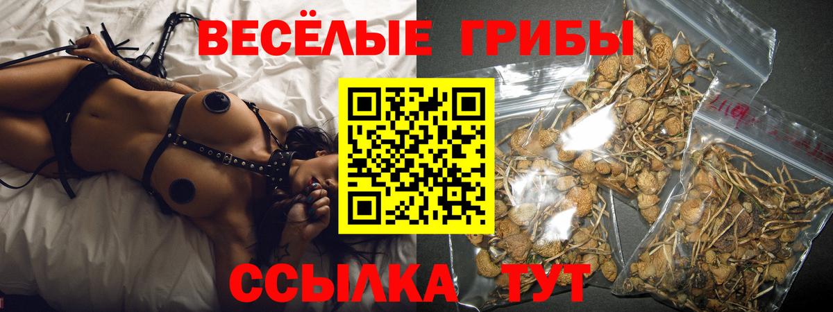 Псилоцибиновые грибы Psilocybine cubensis  Вход с VPN  Белогорск 